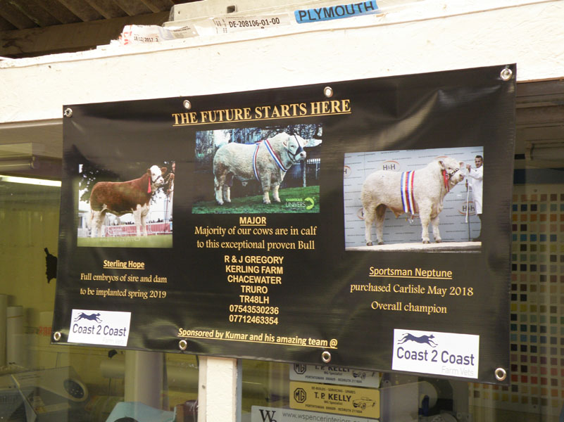 PVC Banner