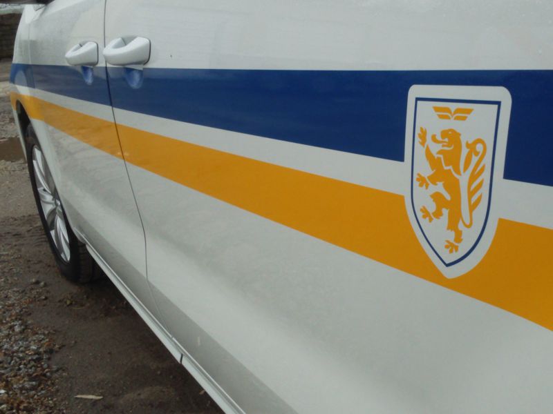 Bespoke cut vinyl stripes